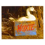 Jamie Wyeth, Moxie, 1982, mixed media on paper