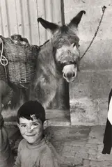 Inge Morath, Little Boy and His Donkey, 1955, Gelatin silver print, possibly unique and printed 1985