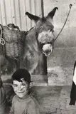 Inge Morath, Little Boy and His Donkey