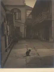 Arnold Genthe, Courtyard with Cat, New Orleans, Louisiana, c. 1900- 1925, Gelatin silver print