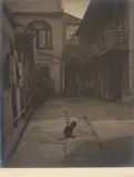 Arnold Genthe, Courtyard with Cat, New Orleans, Louisiana, c. 1900- 1925, Gelatin silver print