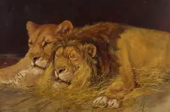 Olaf Carl Seltzer, A resting lion and lioness, oil on board