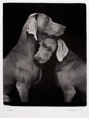 Friends by William Wegman, 2010, Archival pigment print, on museo Silver Rag paper, sold Oct 2022