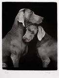 William Wegman, Friends