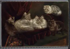 Agnes Augusta Talboys, A family of cats on a red velvet bed, 1908, oil on canvas