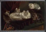 Agnes Augusta Talboys, A family of cats on a red velvet bed, 1908, oil on canvas