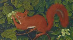 Adolf Dietrich, A squirrel and a caterpillar in a hazelnut tree, oil on board