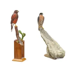 Floyd Scholz, Harris Hawk and Arctic Shadow (a group of two)