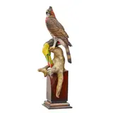 Floyd Scholz, Jungle Fire (Ornate Hawk Eagle with Sulpher Breasted Toucan), acrylic on tupelo wood with glass eyes