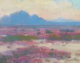 Fred Grayson Sayre, Desert in Bloom, oil on board