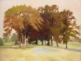 Wolf Kahn, From Sword's "Stand of Elms", 1981, oil on canvas