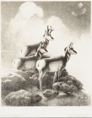 William Herbert 'Buck' Dunton, On the Great Plains and Heart of the Wilderness, from Heart of the West Series, 1932; 1933, Two lithographs on wove paper, each signed in pencil