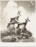 William Herbert 'Buck' Dunton, On the Great Plains and Heart of the Wilderness, from Heart of the West Series, 1932; 1933, Two lithographs on wove paper, each signed in pencil