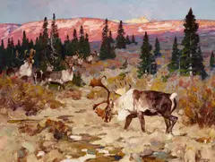 Carl Rungius, The Intruder, oil on canvas