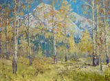 Belmore Browne, Quaking Aspens, oil on canvas