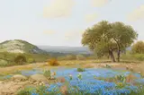 Porfirio Salinas, Texas Bluebonnet Landscape