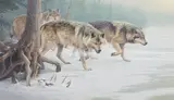 Daniel Smith, Eyes of the North, oil on board