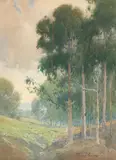 Percy Gray, Eucalyptus trees along a shallow ravine