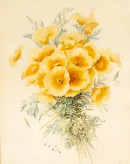 California Poppies by Paul de Longpré, watercolor on paper, sold Aug 2022