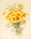 Paul de Longpré, California Poppies