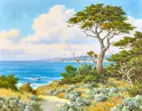 David Chapple, Carmel Coast