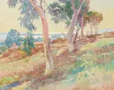 Charles A. Fries, From the Park (Balboa Park, San Diego)