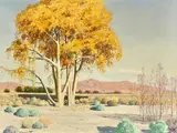 Jimmy Swinnerton, Yellow trees along a desert wash