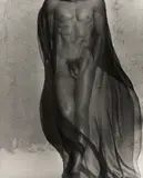 Herb Ritts, Male Torso with Veil (Full Length), Silverlake