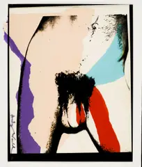 Untitled (Torso) by Andy Warhol, photo transfer on acetate and colored paper mounted on paper, offered Jun 2022