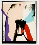 Untitled (Torso) by Andy Warhol, photo transfer on acetate and colored paper mounted on paper, offered Jun 2022