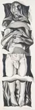 Lowell Nesbitt, Untitled