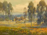 Percy Gray, Hillside with poppies and lupine and a distant bay