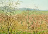 Theodore Wores, Peach Orchard, Saratoga, California, oil on canvas