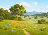 David Chapple, Santa Ynez Foothills