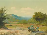Porfirio Salinas, Cacti in Texas Hill Country