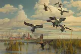 Harry Curieux Adamson, Coming In - Pintails in the San Joaquin Valley, oil on board
