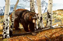Nicholas Wilson, High Country Descent, oil on canvas