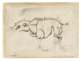 Jan Lebensztejn, Untitled (Animal Study)
