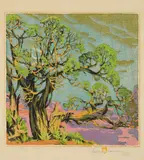 Gustave Baumann, Cedar Grand Canyon, (Chamberlain 77)