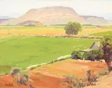 Sam Hyde Harris, Utah Patchwork