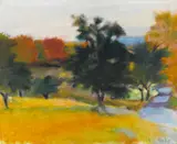 Wolf Kahn, MacArthurs Field