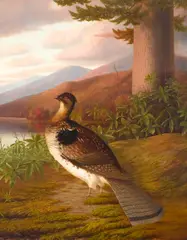 George Cope, Ruffed Grouse, 1908, oil on canvas