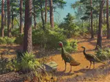 Aiden Lassell Ripley, Wild Turkey Hunt, 1944, oil on canvas