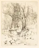 George Elbert Burr, March Snow; Woods in Winter (Seeber 153; 297), 1910; circa 1930