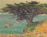 William Posey Silva, The Patriarch of Point Lobos, oil on canvas