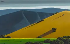 Robert L. Shafer, Shadows on a hillside, oil on Masonite