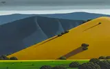 Robert L. Shafer, Shadows on a hillside, oil on Masonite