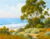David Chapple, Surfer's Path