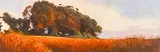 Rick Garcia, Coal Oil Point, Goleta, oil on canvas