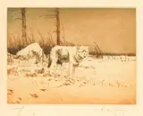 Michael Coleman, Timber Wolf